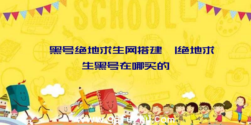 「黑号绝地求生网搭建」|绝地求生黑号在哪买的